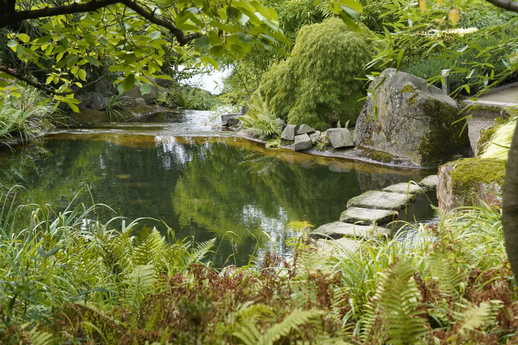 Naturnaher Teich mit Trittsteinen im Barnim